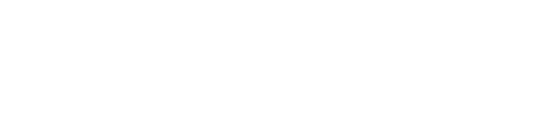 れんこんのごった煮